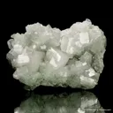 Hydroxyapophyllite-(K) on Prehnite - image 4