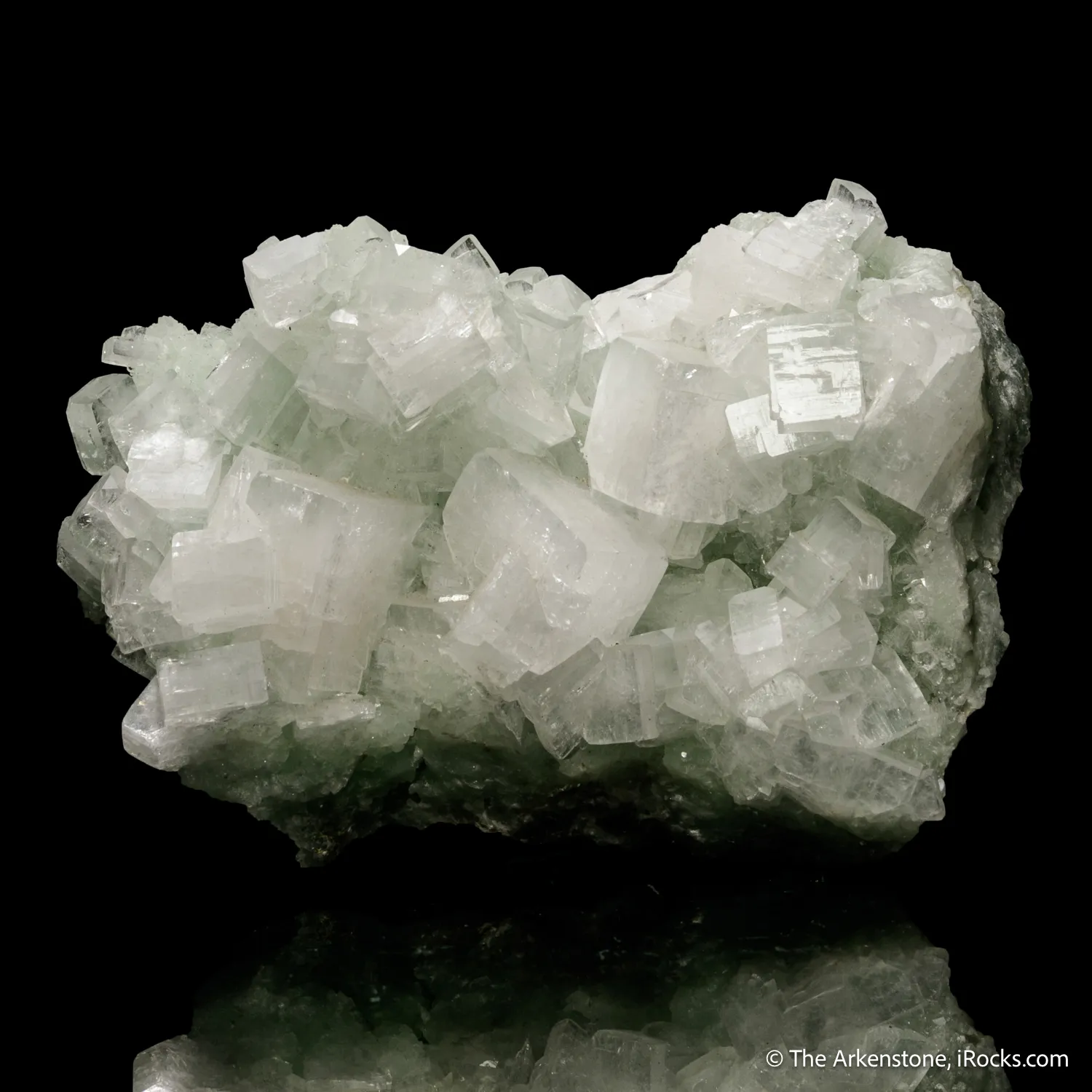 Hydroxyapophyllite-(K) on Prehnite - image 3