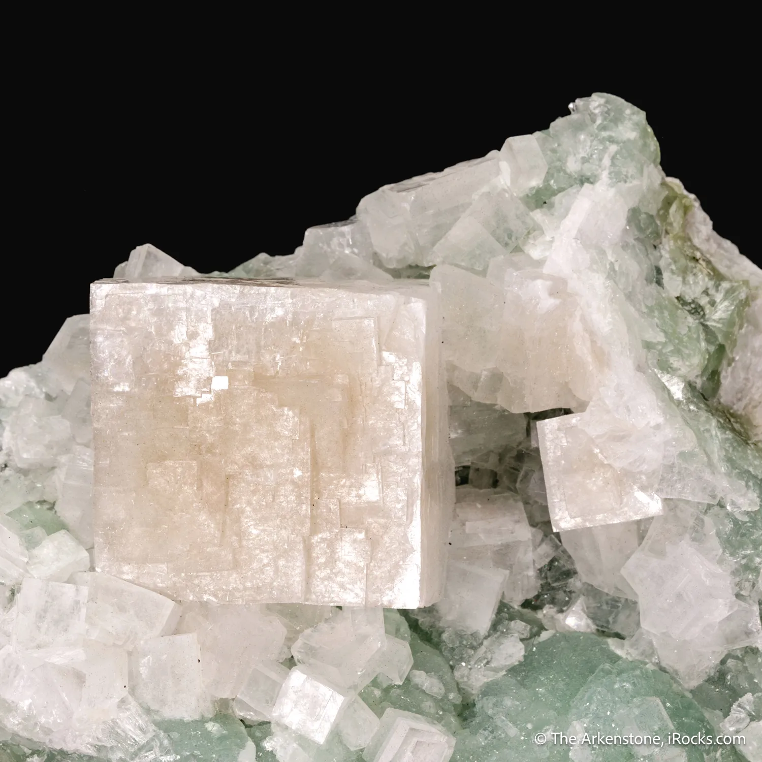 Hydroxyapophyllite-(K) on Prehnite - image 5