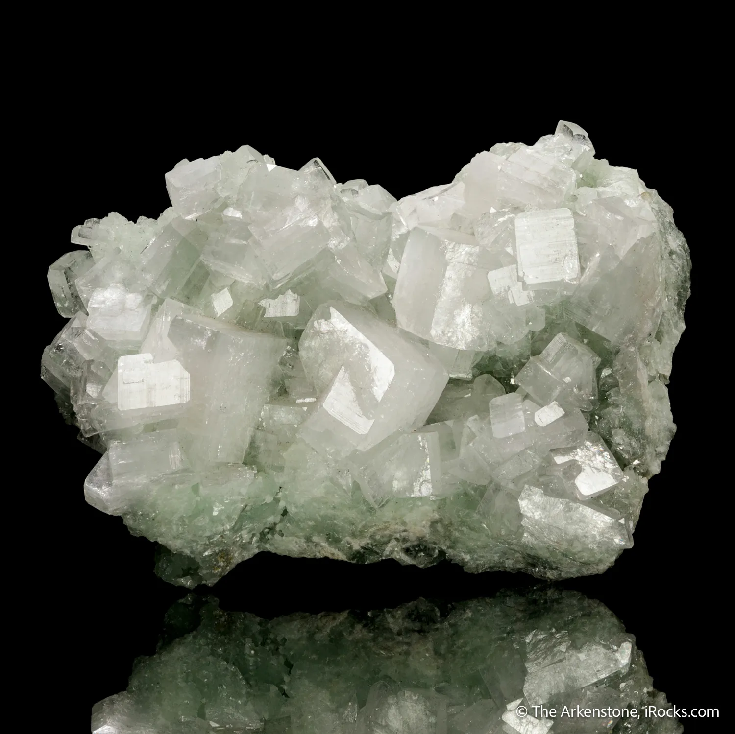 Hydroxyapophyllite-(K) on Prehnite - image 4