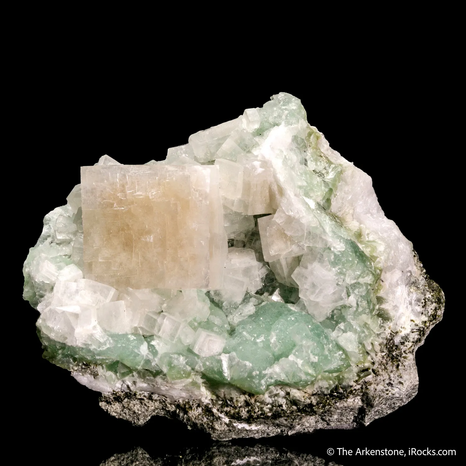 Hydroxyapophyllite-(K) on Prehnite - image 4
