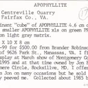 Hydroxyapophyllite-(K) on Prehnite - image 6