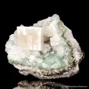Hydroxyapophyllite-(K) on Prehnite - image 3