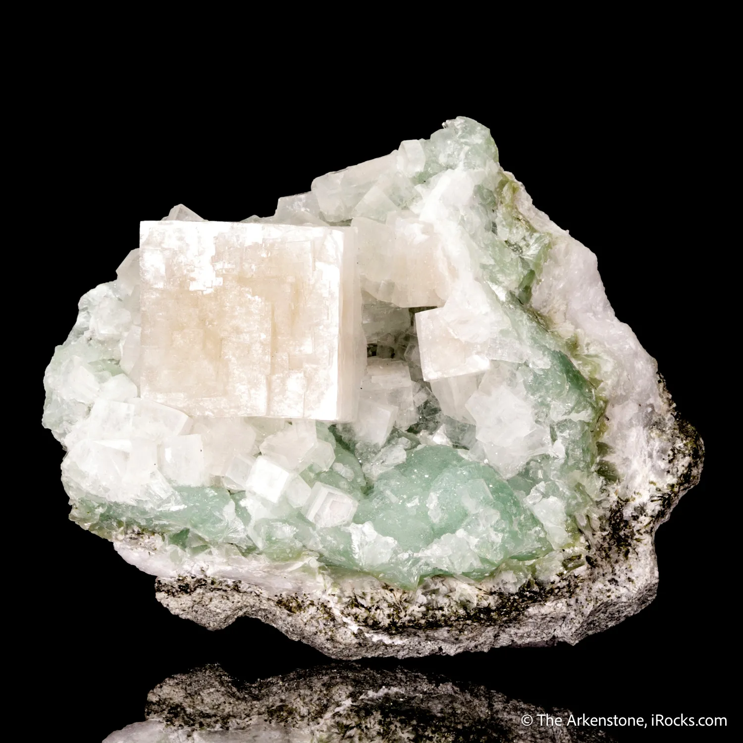 Hydroxyapophyllite-(K) on Prehnite - image 3