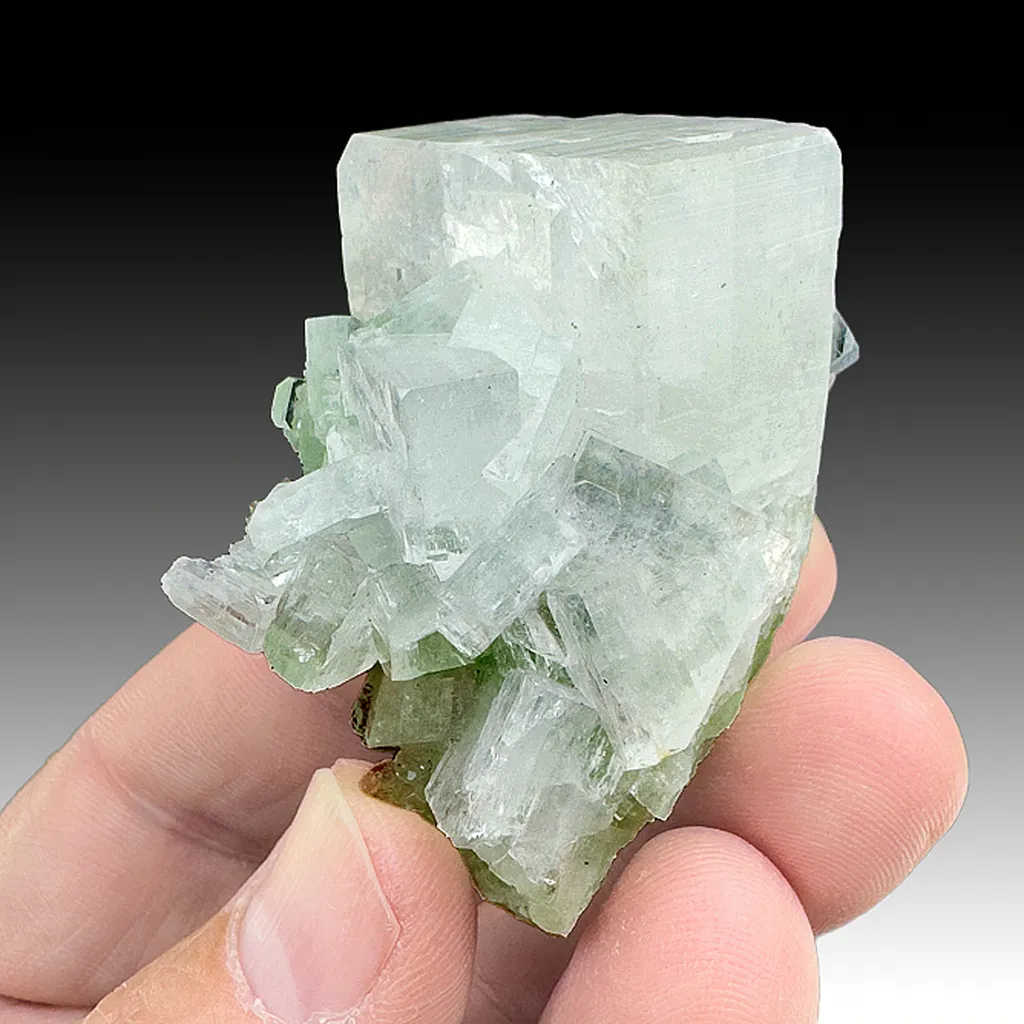 Hydroxyapophyllite-K with Prehnite image