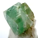 Hydroxyl-Herderite on Albite - image 2