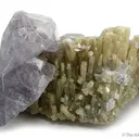 Hydroxyl-Herderite on Columnar Muscovite - image 1