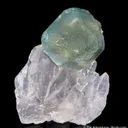 Hydroxylapatite on Quartz - image 5