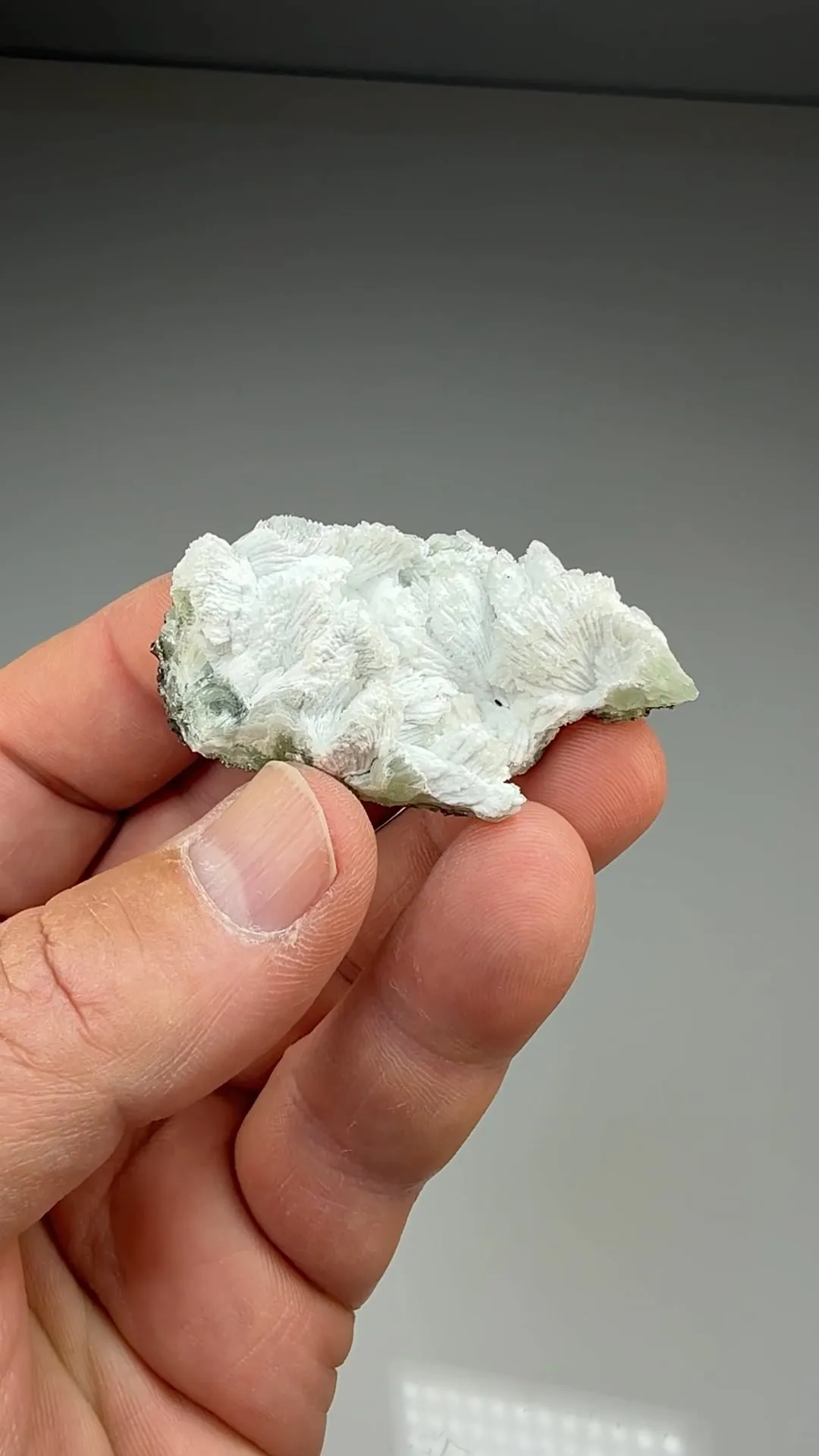 Hydroxylapatite replacing Tarbuttite - image 2