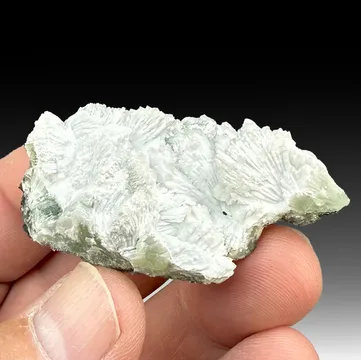 Hydroxylapatite replacing Tarbuttite