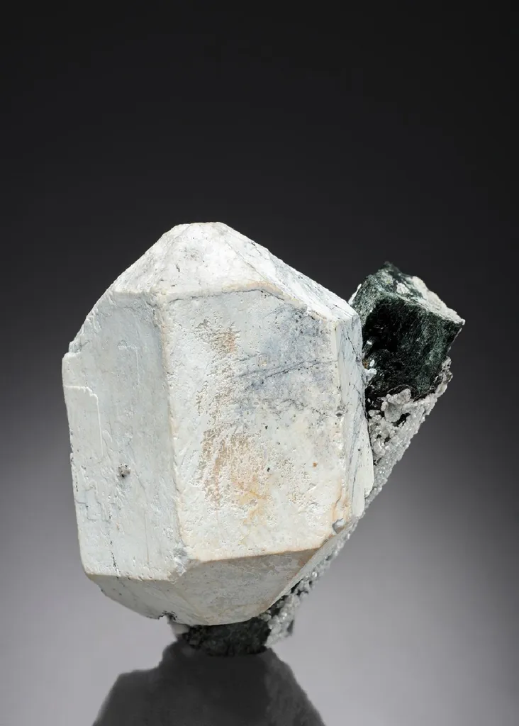 Hydroxylapatite with Hornblende image