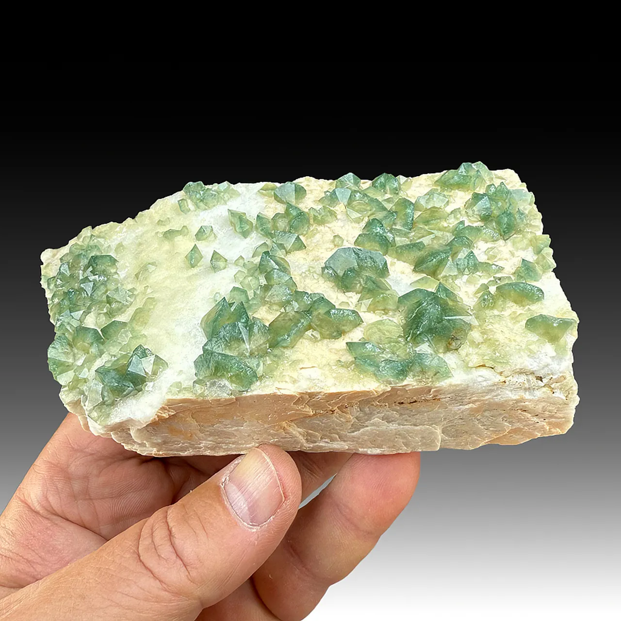 Hydroxylapatite with Microcline (1225) - image 1