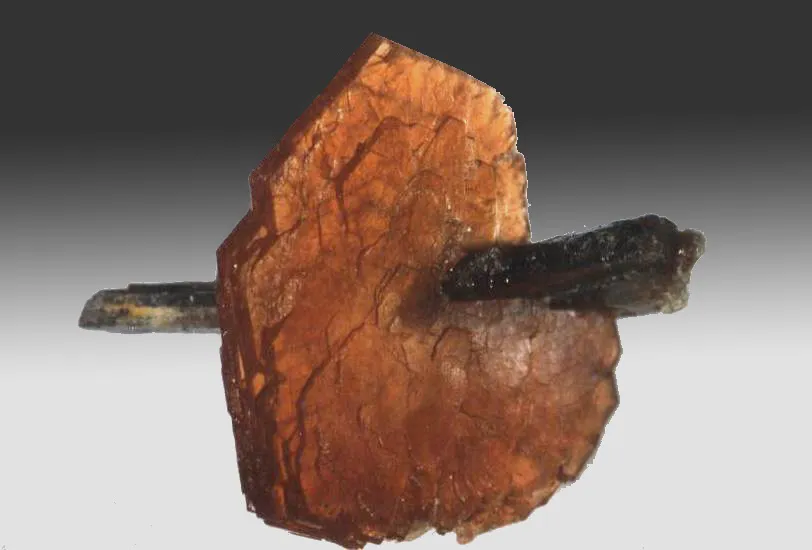 Hydroxylbastnäsite (Ce) / Allanite (Ce), Trimouns, Luzenac, Ariège, France image