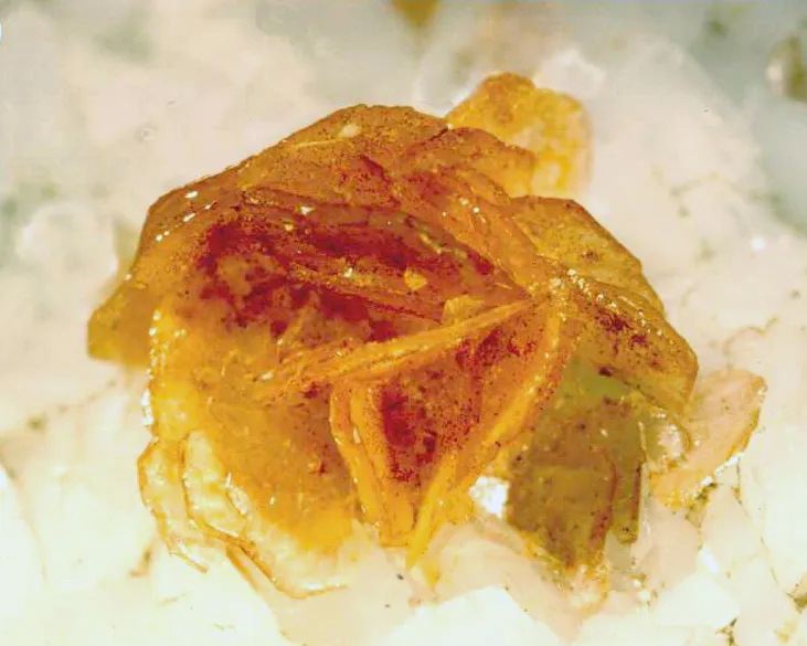Hydroxylbastnäsite (Ce) en rosette, Trimouns, Luzenac, Ariège, France image