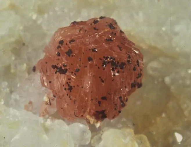 Hydroxylbastnäsite (Ce), Trimouns, Luzenac, Ariège, France image