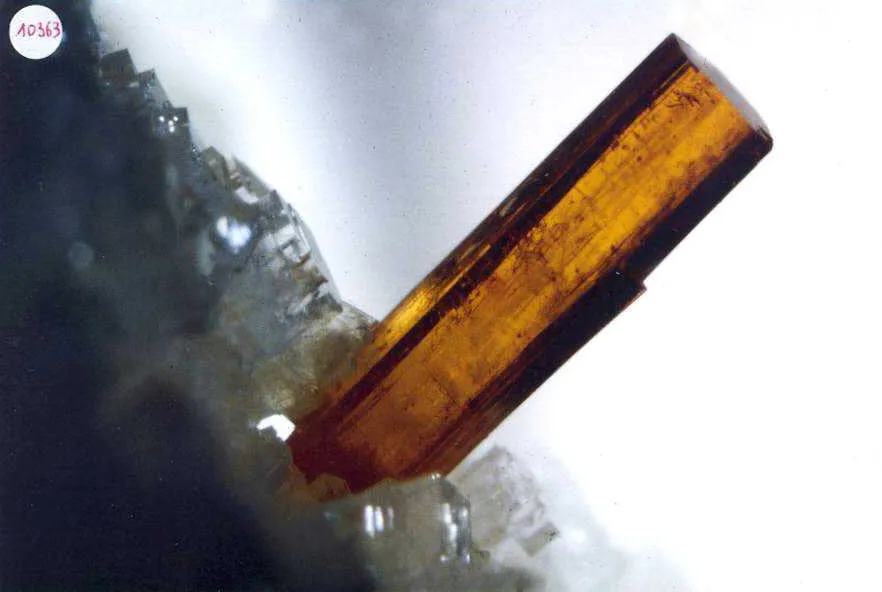 Hydroxylbastnäsite(Ce) allongée, Trimouns, Luzenac, Ariège, France image