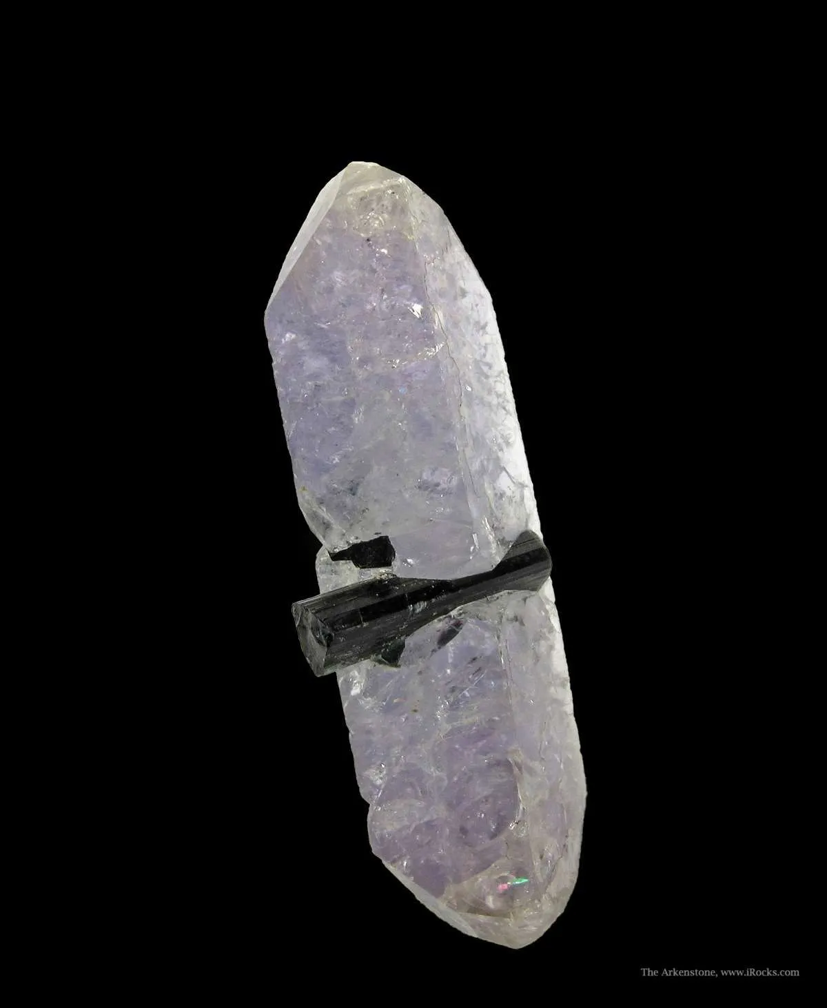 Hydroxylherderite (1969 Pocket) With Tourmaline - image 5