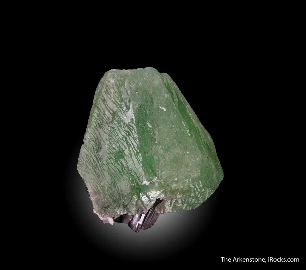 Hydroxylherderite on Schorl - image 4