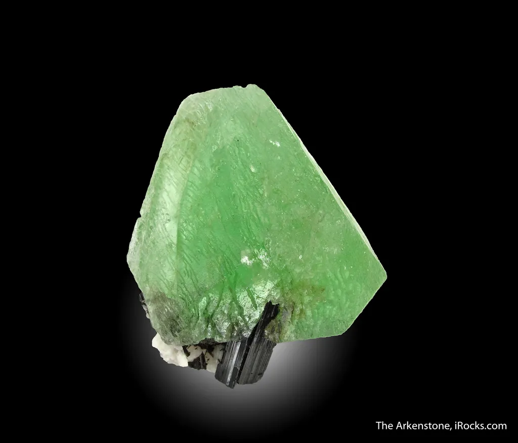 Hydroxylherderite on Schorl - image 5