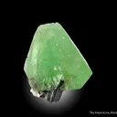 Hydroxylherderite on Schorl - image 5