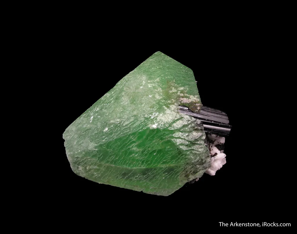 Hydroxylherderite on Schorl - image 3