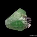 Hydroxylherderite on Schorl - image 3