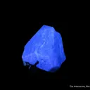Hydroxylherderite on Schorl - image 6