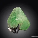 Hydroxylherderite on Schorl - image 1