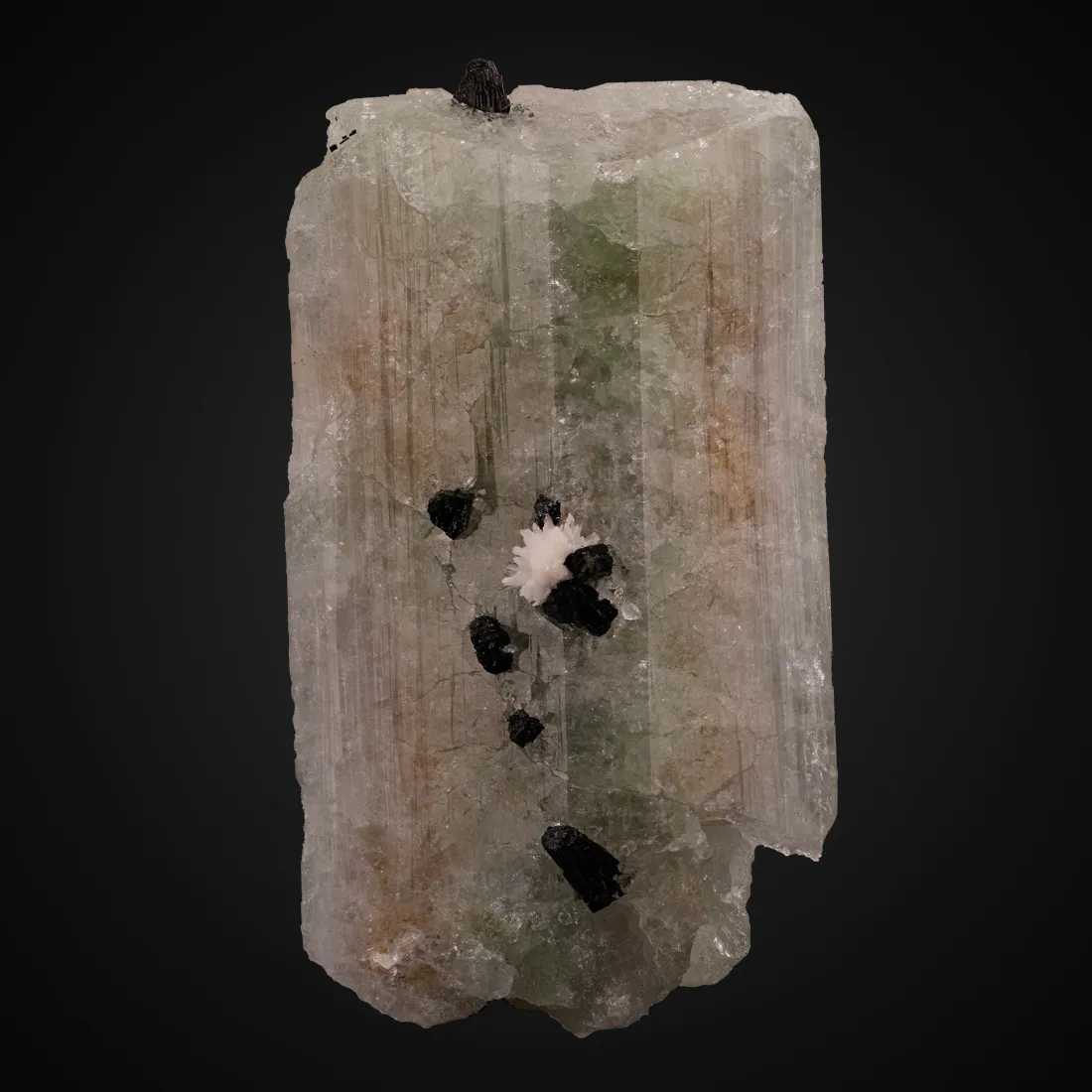 Hydroxylherderite, Schorl - image 1