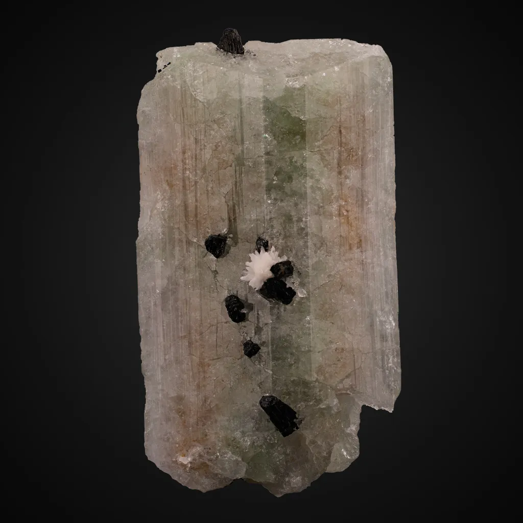 Hydroxylherderite, Schorl image