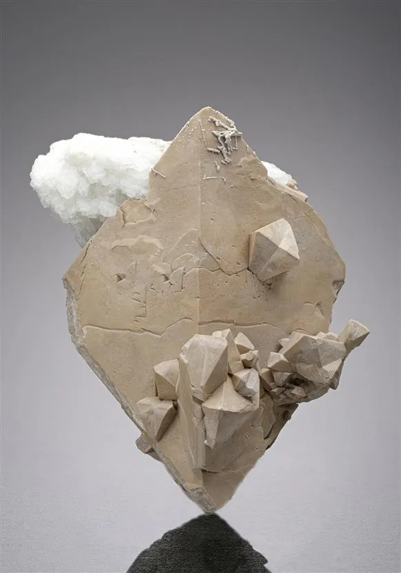 HYDROXYLHERDERITE with Albite image