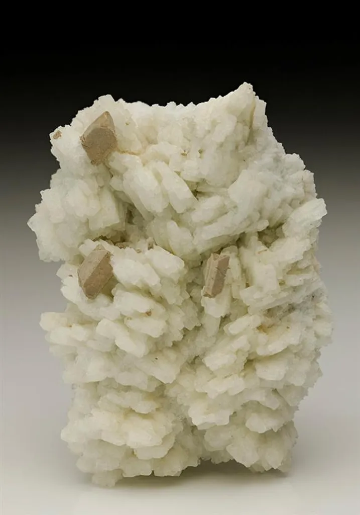 HYDROXYLHERDERITE with Albite image