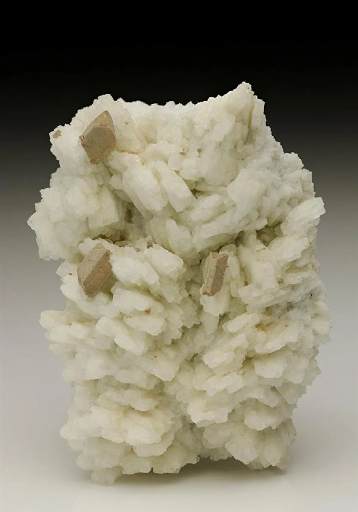 HYDROXYLHERDERITE with Albite - image 1