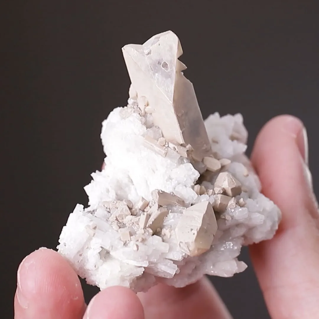 HYDROXYLHERDERITE with Albite - image 2