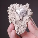 HYDROXYLHERDERITE with Lepidolite - image 2