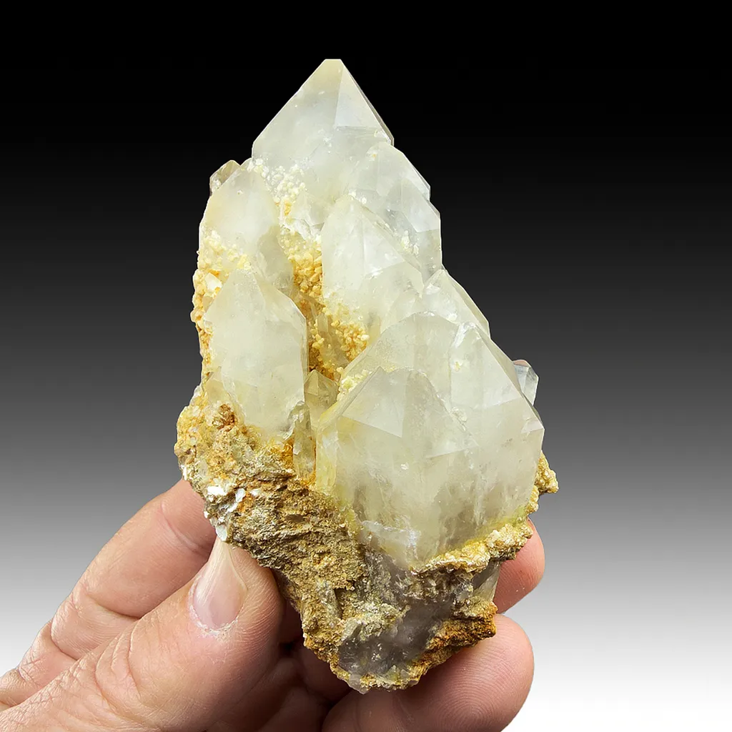 Hydroxylherderite with Quartz image