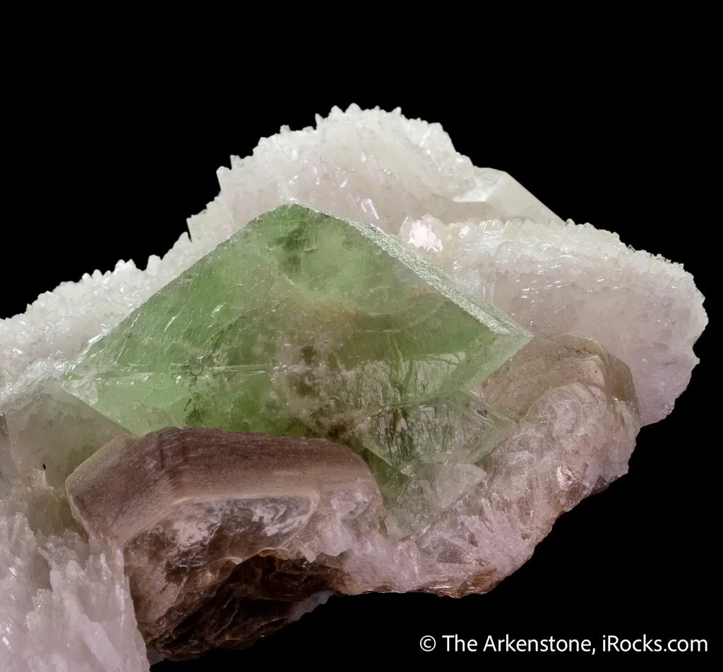Hydroxylherderite with Quartz, Cleavelandite, & Muscovite - image 6