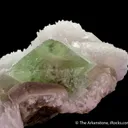 Hydroxylherderite with Quartz, Cleavelandite, & Muscovite - image 6