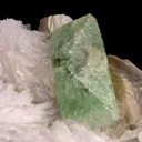 Hydroxylherderite with Quartz, Cleavelandite, & Muscovite - image 3