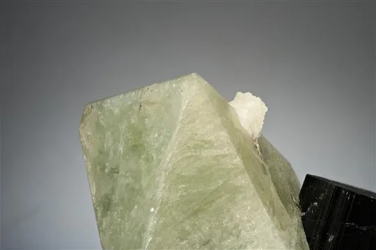 HYDROXYLHERDERITE with Schorl