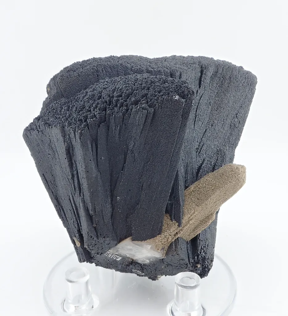 Ilavite with Quartz image