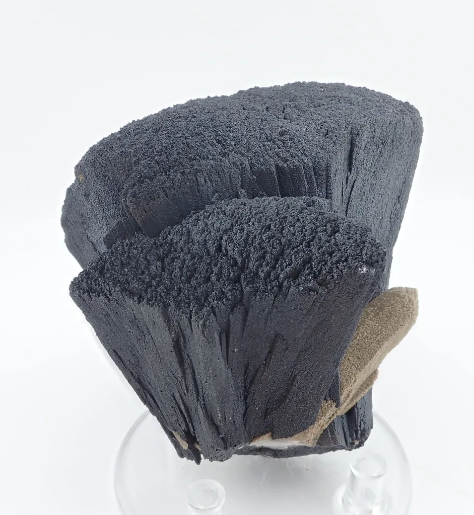 Ilavite with Quartz - image 4
