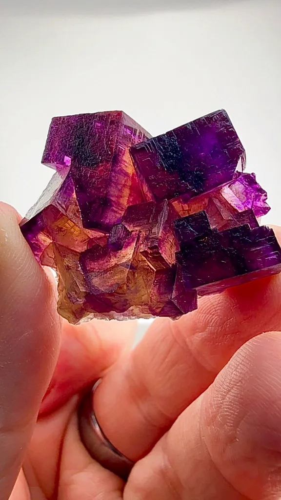 Illinois Fluorite at its finest—captured in miniature image
