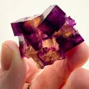 Illinois Fluorite at its finest—captured in miniature - image 2