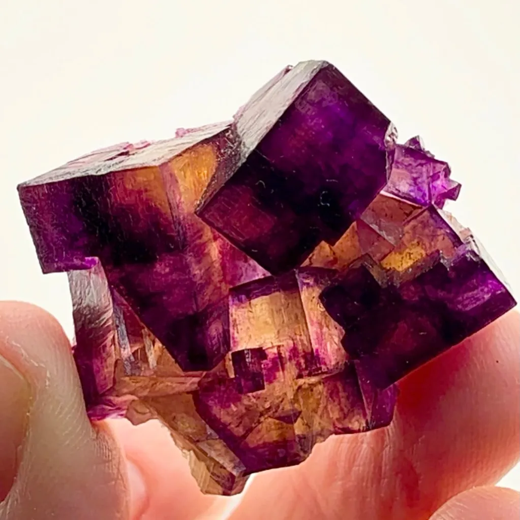 Illinois Fluorite Banger captured in miniature image