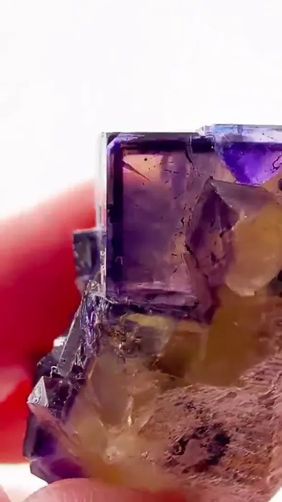 Illinois Fluorite never goes out of style - image 3