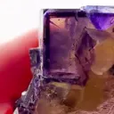Illinois Fluorite never goes out of style - image 3