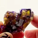 Illinois Fluorite never goes out of style - image 1