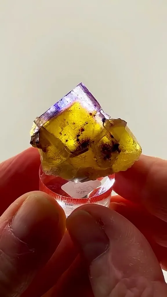 Illinois Fluorite royalty with collector pedigree image