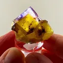 Illinois Fluorite royalty with collector pedigree - image 1